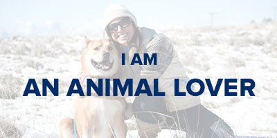 VIN Foundation | Supporting veterinarians to cultivate a healthy animal community | I am | I am an animal lover