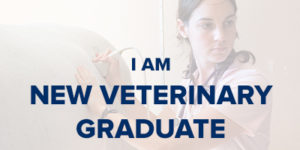 VIN Foundation | Supporting veterinarians to cultivate a healthy animal community | I am | I am a recent veterinary school graduate | veterinary school graduate