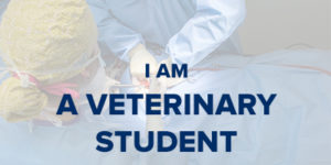 VIN Foundation | Supporting veterinarians to cultivate a healthy animal community | I am | I am a veterinary student | veterinary student resources