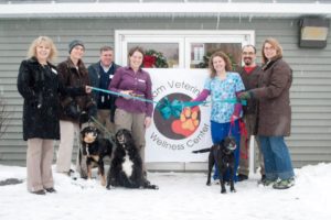 VIN Foundation | Supporting veterinarians to cultivate a healthy animal community | Resources | Veterinary Practice Start Up Club