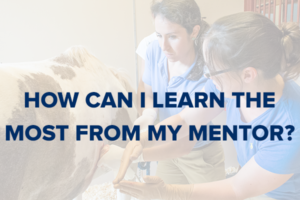 VIN Foundation | Supporting veterinarians to cultivate a healthy animal community | Resources | Thrive in Five | New Graduate Survival Manual | Veterinary Mentor Relationship
