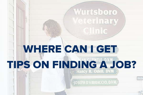 VIN Foundation | Supporting veterinarians to cultivate a healthy animal community | Resources | Thrive in Five | New Graduate Survival Manual | Veterinary Job Search Tips