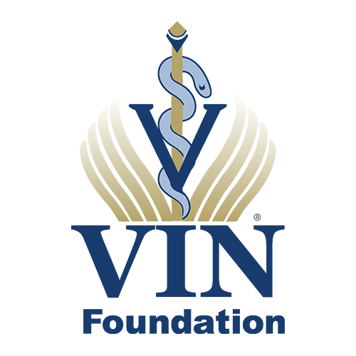 VIN Foundation