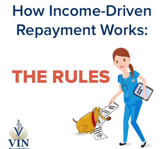 VIN Foundation | Supporting veterinarians to cultivate a healthy animal community | Blog | How Income-Driven Repayment Works: The Rules