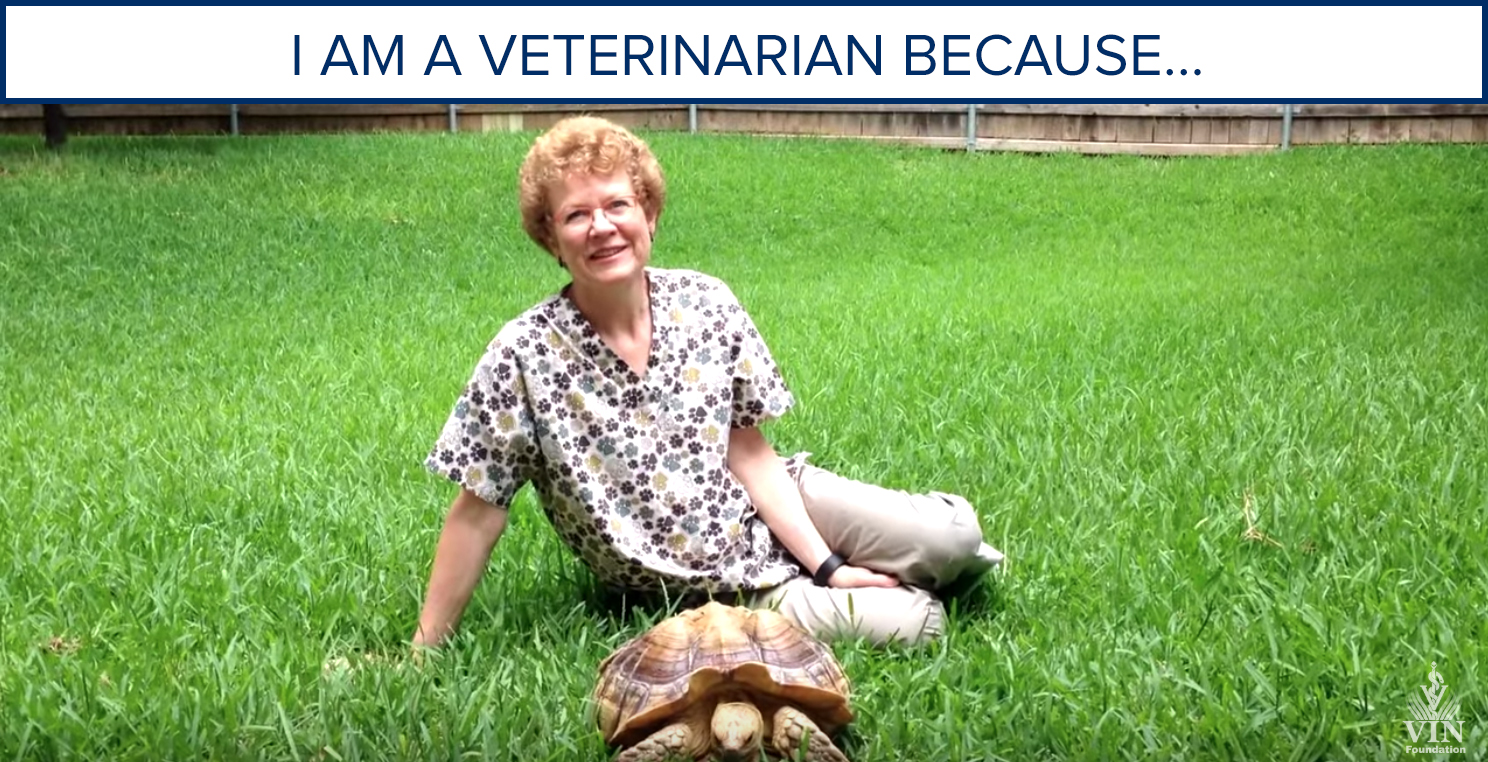 VIN Foundation | Supporting veterinarians to cultivate a healthy animal community | Blog | I am a veterinarian because