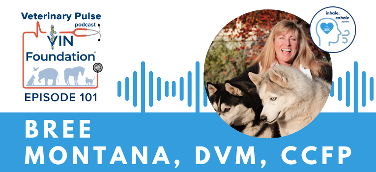 VIN Foundation | Supporting veterinarians to cultivate a healthy animal community | Blog | Veterinary Pulse Podcast | Vets4Vets® you are not alone peer-to-peer support Dr. Bree Montana