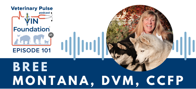 VIN Foundation | Supporting veterinarians to cultivate a healthy animal community | Blog | Veterinary Pulse Podcast | Vets4Vets® you are not alone peer-to-peer support Dr. Bree Montana