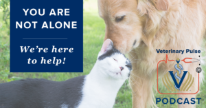 VIN Foundation | Supporting veterinarians to cultivate a healthy animal community | Blog | Veterinary Pulse Podcast | Vets4Vets® you are not alone peer-to-peer support Dr. Bree Montana