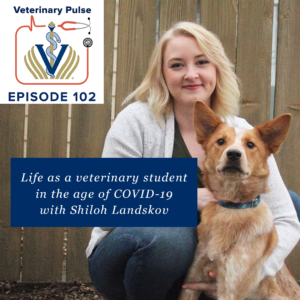 VIN Foundation | Supporting veterinarians to cultivate a healthy animal community | Blog | Veterinary Pulse Podcast | Life as a veterinary student in the age of COVID-19 with Shiloh Landskov