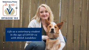 VIN Foundation | Supporting veterinarians to cultivate a healthy animal community | Blog | Veterinary Pulse Podcast | Life as a veterinary student in the age of COVID-19 with Shiloh Landskov