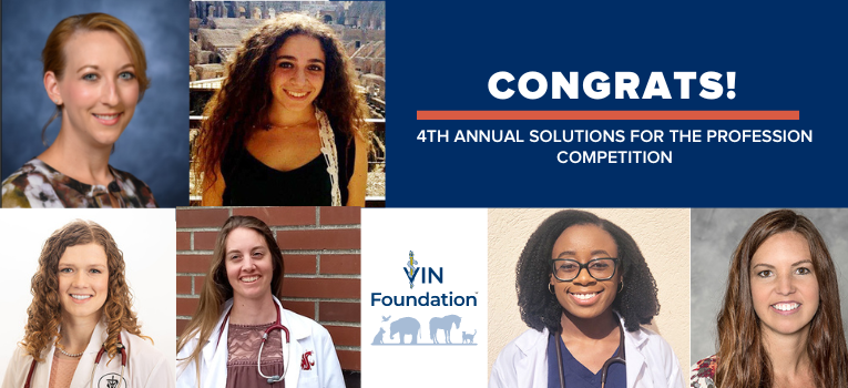 VIN Foundation | Supporting veterinarians to cultivate a healthy animal community | Blog | 4th Annual Solutions for the Profession