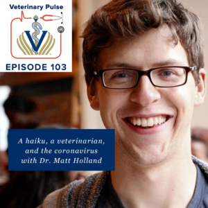 VIN Foundation | Supporting veterinarians to cultivate a healthy animal community | Blog | Veterinary Pulse Podcast | A haiku, a veterinarian, and the coronavirus with Dr. Matt Holland
