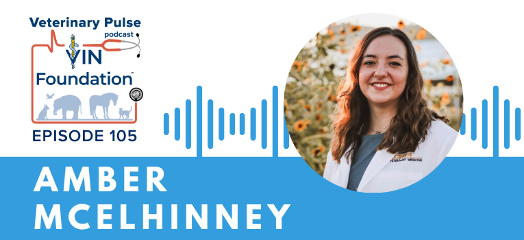 VIN Foundation | Supporting veterinarians to cultivate a healthy animal community | Blog | Veterinary Pulse Podcast | Lessons learned of applying to veterinary school with Amber McElhinney