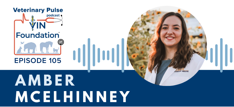 VIN Foundation | Supporting veterinarians to cultivate a healthy animal community | Blog | Veterinary Pulse Podcast | Lessons learned of applying to veterinary school with Amber McElhinney