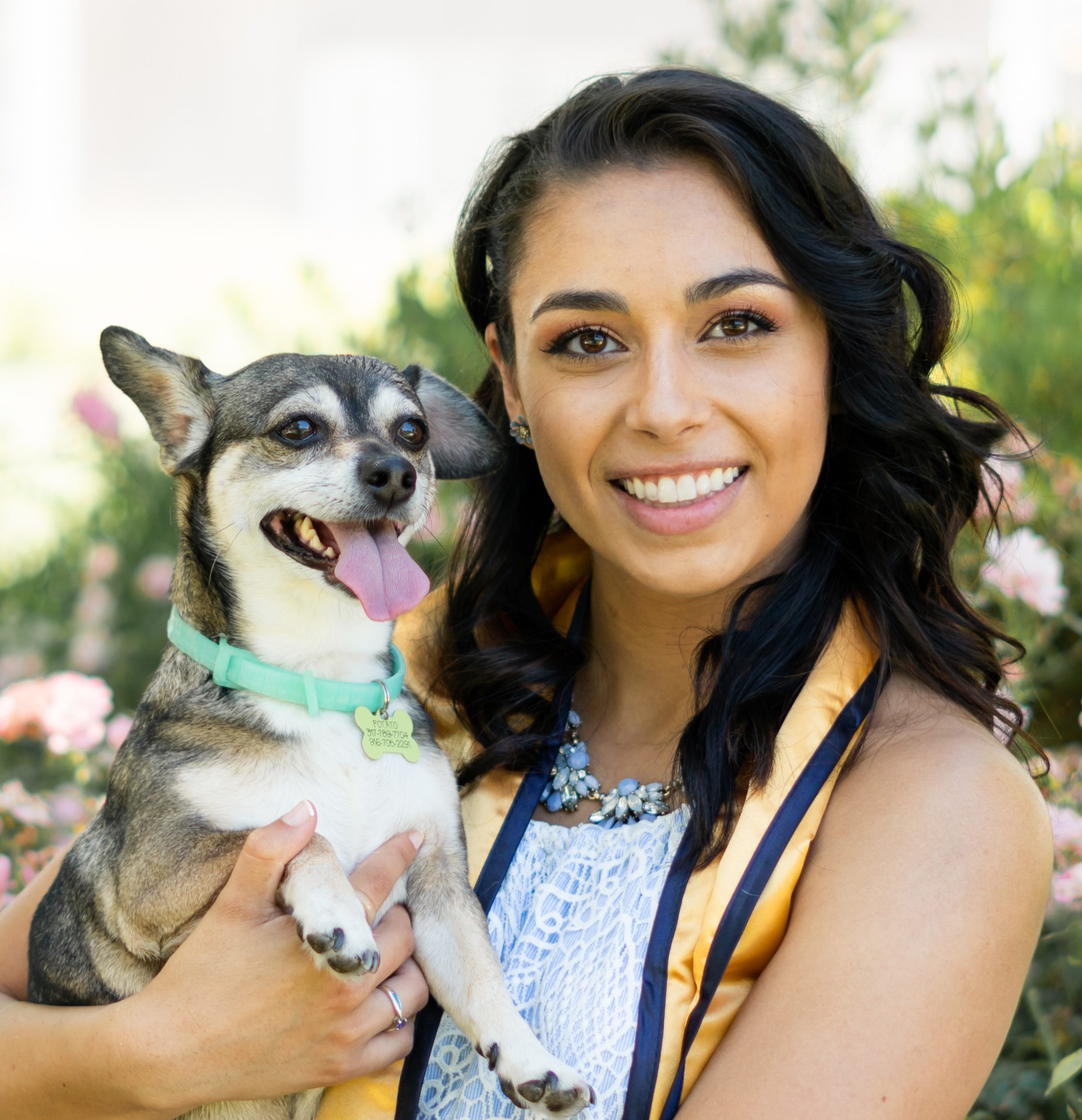 VIN Foundation | Supporting veterinarians to cultivate a healthy animal community | Blog | Veterinary School Multiple Mini Interview (MMI) Tips by Kamira Patel
