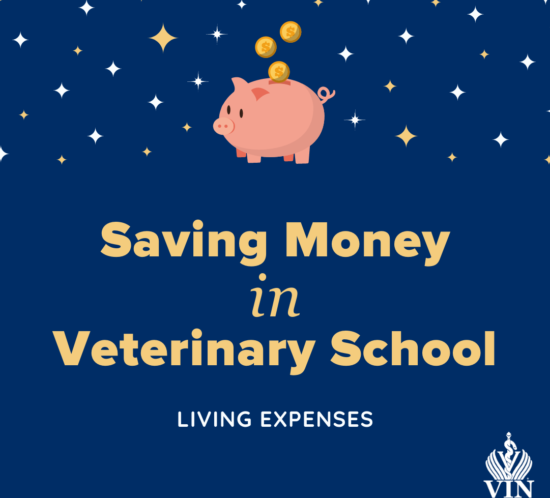 VIN Foundation | Supporting veterinarians to cultivate a healthy animal community | Blog | Saving Money in Veterinary School Living Expenses Sherry Shih