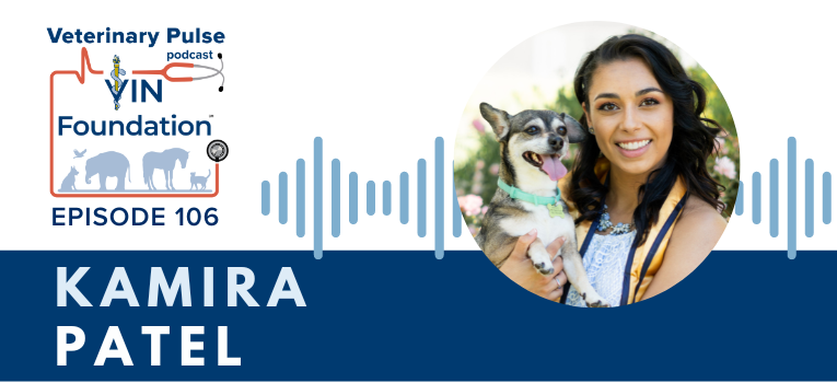 VIN Foundation | Supporting veterinarians to cultivate a healthy animal community | free resources veterinary students veterinarians | Blog | Veterinary Pulse Podcast | Veterinary Pulse Podcast with Dr. Kamira Patel