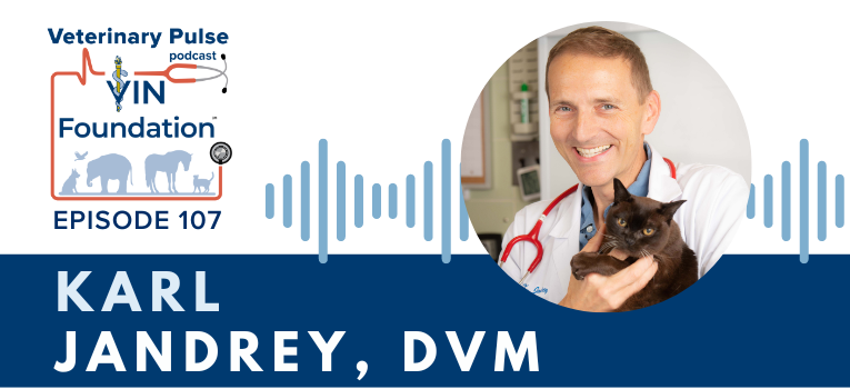 VIN Foundation | Supporting veterinarians to cultivate a healthy animal community | free resources veterinary students veterinarians | Blog | Veterinary Pulse Podcast | Veterinary Pulse Podcast with Dr. Karl Jandrey