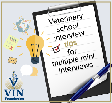 VIN Foundation | Supporting veterinarians to cultivate a healthy animal community | Blog | Veterinary School Multiple Mini Interview (MMI) Tips