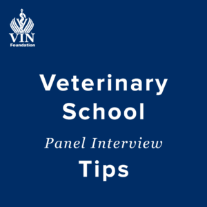 VIN Foundation | Supporting veterinarians to cultivate a healthy animal community | Blog | Veterinary School Panel Interview Tips