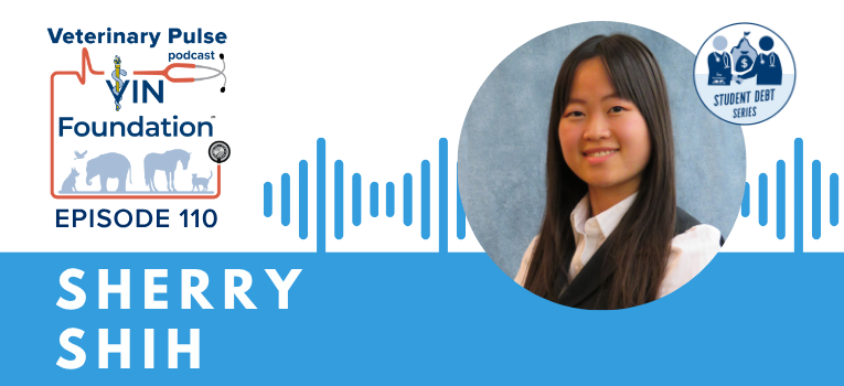 VIN Foundation | Supporting veterinarians to cultivate a healthy animal community | free resources veterinary students veterinarians | Blog | Veterinary Pulse Podcast with Sherry Shih