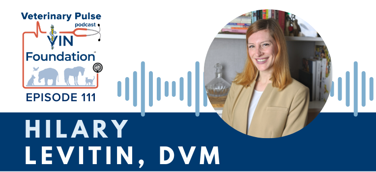 VIN Foundation | Supporting veterinarians to cultivate a healthy animal community | free resources veterinary students veterinarians | Blog | Veterinary Pulse Podcast | Veterinary Pulse Podcast with Dr. Hilary Levitin