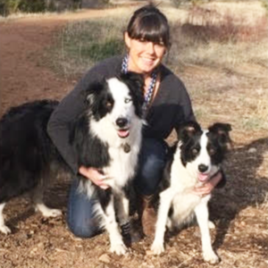 VIN Foundation | Supporting veterinarians to cultivate a healthy animal community | Resources | Vets4Vets® | Meghan Polite