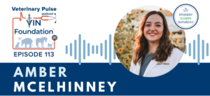 VIN Foundation | Supporting veterinarians to cultivate a healthy animal community | free resources veterinary students veterinarians | Blog | Veterinary Pulse Podcast | Veterinary Pulse Podcast with Amber McElhinney