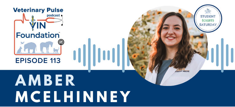 VIN Foundation | Supporting veterinarians to cultivate a healthy animal community | free resources veterinary students veterinarians | Blog | Veterinary Pulse Podcast | Veterinary Pulse Podcast with Amber McElhinney