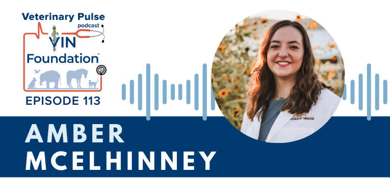 VIN Foundation | Supporting veterinarians to cultivate a healthy animal community | free resources veterinary students veterinarians | Blog | Veterinary Pulse Podcast | Veterinary Pulse Podcast with Amber McElhinney