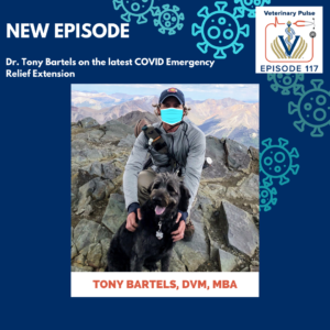 VIN Foundation | Supporting veterinarians to cultivate a healthy animal community | free resources veterinary students veterinarians | Blog | Veterinary Pulse Podcast | Dr. Tony Bartels on the Latest COVID-19 Student Loan Relief News | veterinary podcast | veterinarian podcast | veterinary student