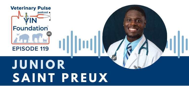 VIN Foundation | Supporting veterinarians to cultivate a healthy animal community | free resources veterinary students veterinarians | Blog | Veterinary Pulse Podcast | Junior Saint Preux on believing in yourself, and diversity, equity, and inclusion