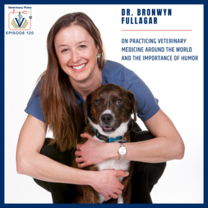 VIN Foundation | Supporting veterinarians to cultivate a healthy animal community | free resources veterinary students veterinarians | Blog | Veterinary Pulse Podcast | Dr. Bronwyn Fullagar on practicing worldwide veterinary medicine and the importance of humor