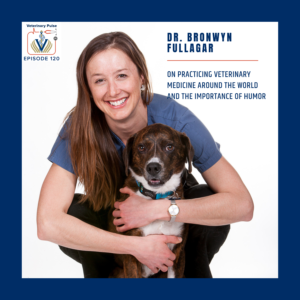 VIN Foundation | Supporting veterinarians to cultivate a healthy animal community | free resources veterinary students veterinarians | Blog | Veterinary Pulse Podcast | Veterinary Pulse Podcast with Dr. Bronwyn Fullagar