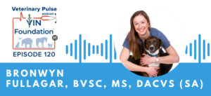 VIN Foundation | Supporting veterinarians to cultivate a healthy animal community | free resources veterinary students veterinarians | Blog | Veterinary Pulse Podcast | Veterinary Pulse Podcast with Dr. Bronwyn Fullagar