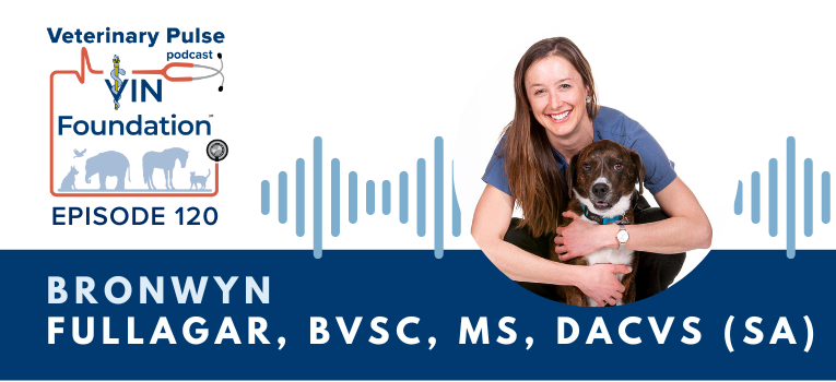 VIN Foundation | Supporting veterinarians to cultivate a healthy animal community | free resources veterinary students veterinarians | Blog | Veterinary Pulse Podcast | Veterinary Pulse Podcast with Dr. Bronwyn Fullagar