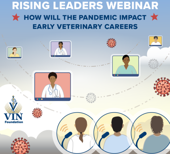 VIN Foundation | Supporting veterinarians to cultivate a healthy animal community | free resources veterinary students veterinarians | Blog | How Will the Pandemic Impact Early Veterinary Careers?