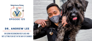 VIN Foundation | Supporting veterinarians to cultivate a healthy animal community | free resources veterinary students veterinarians | Blog | Veterinary Pulse Podcast | Veterinary Pulse Podcast with Dr. Andrew Lee
