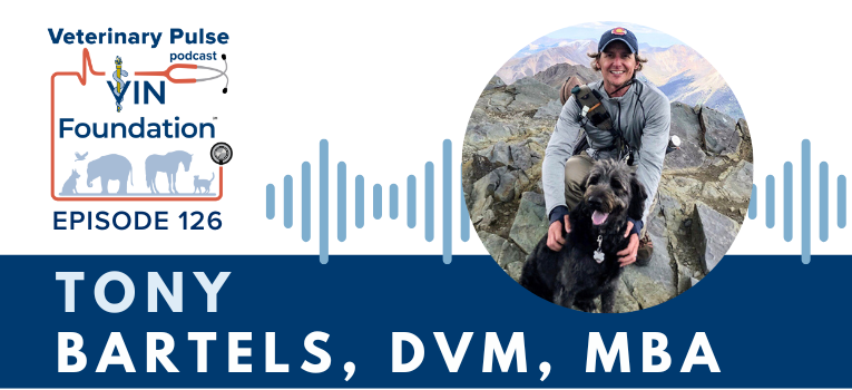 VIN Foundation | Supporting veterinarians to cultivate a healthy animal community | free resources veterinary students veterinarians | Blog | Veterinary Pulse Podcast | Veterinary Pulse Podcast with Dr. Tony Bartels