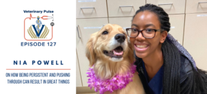 VIN Foundation | Supporting veterinarians to cultivate a healthy animal community | free resources veterinary students veterinarians | Blog | Veterinary Pulse Podcast | Veterinary Pulse Podcast with Nia Powell