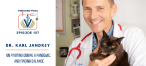 VIN Foundation | Supporting veterinarians to cultivate a healthy animal community | free resources veterinary students veterinarians | Blog | Veterinary Pulse Podcast | Veterinary Pulse Podcast with Dr. Karl Jandrey