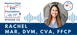 VIN Foundation | Supporting veterinarians to cultivate a healthy animal community | Blog | Veterinary Pulse Podcast | Veterinary Pulse Podcast with Dr. Rachel Mar