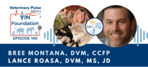 VIN Foundation | Supporting veterinarians to cultivate a healthy animal community | Nonprofit free veterinary resources | Blog | Veterinary Pulse Podcast | Veterinary Pulse Podcast with Dr. Bree Montana and Dr. Lance Roasa The Futures So Bright Ins and Outs of Selling a Veterinary practice