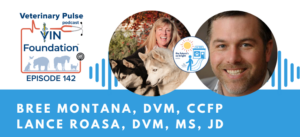 VIN Foundation | Supporting veterinarians to cultivate a healthy animal community | Nonprofit free veterinary resources | Blog | Veterinary Pulse Podcast | Veterinary Pulse Podcast with Dr. Bree Montana and Dr. Lance Roasa The Futures So Bright Ins and Outs of Selling a Veterinary practice different types of veterinary practice sale options