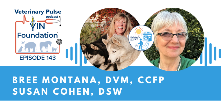 VIN Foundation | Supporting veterinarians to cultivate a healthy animal community | Nonprofit free veterinary resources | Blog | Veterinary Pulse Podcast | Veterinary Pulse Podcast with Dr. Bree Montana and Dr. Susan Cohen The Futures So Bright Ins and Outs of Selling a Veterinary practice different types of veterinary practice sale options the emotional mental aspect of selling a veterinary practice