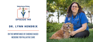 VIN Foundation | Supporting veterinarians to cultivate a healthy animal community | prevet resources veterinary student resources veterinarian resources | Nonprofit free veterinary resources | Blog | Veterinary Pulse Podcast Episode 149 | Veterinary Pulse Podcast with Dr. Lynn Hendrix on the importance of evidence based medicine for palliative care