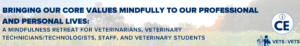 VIN Foundation | Supporting veterinarians to cultivate a healthy animal community | Nonprofit veterinary resources tools programs | veterinary continued education | Bringing Our Core Values Mindfully To Our Professional And Personal Lives - A mindfulness retreat for veterinarians, veterinary technicians/technologists, staff, and veterinary students