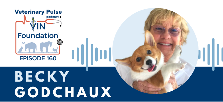 VIN Foundation | Supporting veterinarians to cultivate a healthy animal community | prevet resources veterinary student resources veterinarian resources | Nonprofit free veterinary resources | Blog | Veterinary Pulse Podcast Episode 160 | Becky Godchaux shares her story in creating the veterinary student scholarship | veterinary student scholarship | veterinary school scholarship