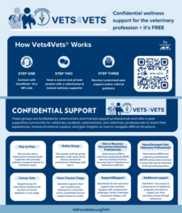 VIN Foundation | Supporting veterinarians to cultivate a healthy animal community | prevet resources veterinary student resources veterinarian resources | Confidential Mental Wellness Veterinarian Veterinary Veterinary Professional Addiction Recovery Mental Support Emotional Support Free veterinary wellness support confidential