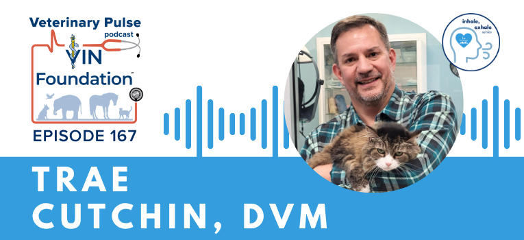 VIN Foundation | Supporting veterinarians to cultivate a healthy animal community | free resources veterinary students veterinarians | Blog | Veterinary Pulse Podcast | Veterinary Pulse Podcast with Dr. Trae Cutchin